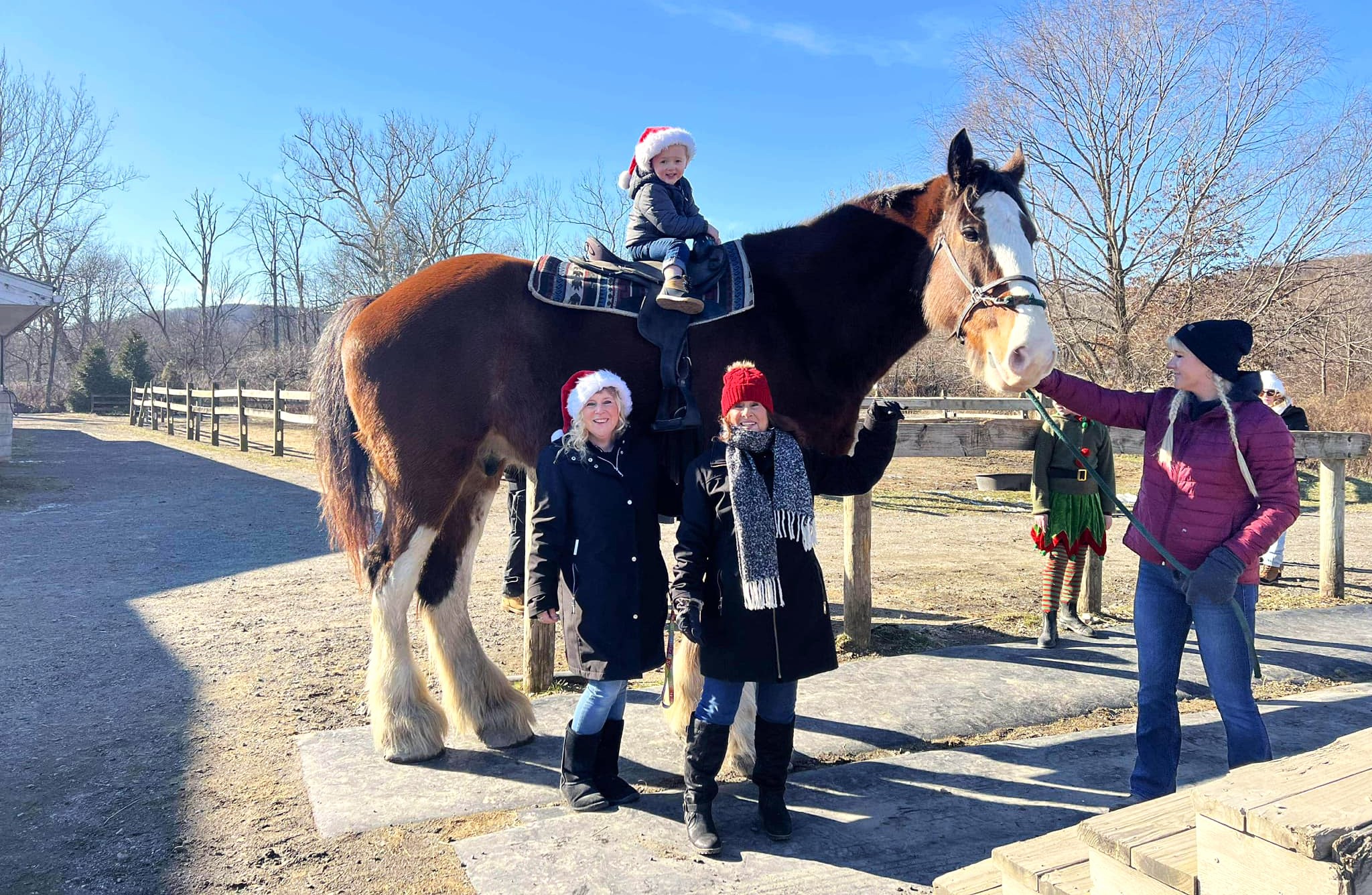 Climb aboard a Clydesdale at Willow Grove Farm's Christmas with the Clydesdales event. Photo courtesy of Willow Grove Farm facebook page