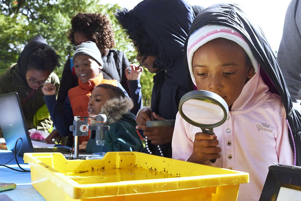 Head to the Prospect Park Audobon Center when school is out for some fun, free programming. Photo courtesy of the Prospect Park Alliance