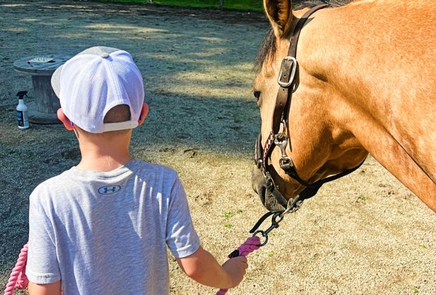 EAL at New Jersey Stables: Child leading a horse at Sensory Stables