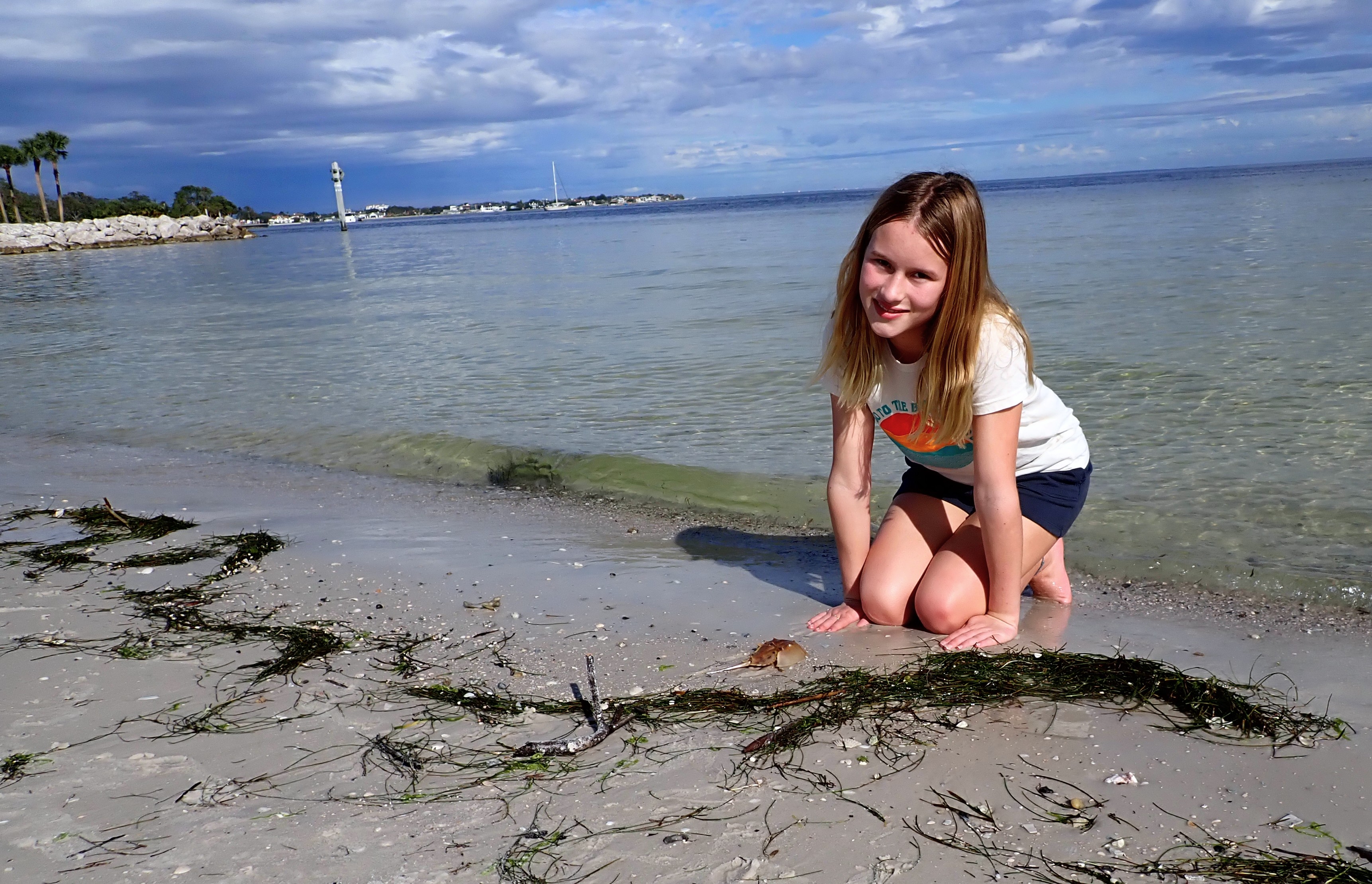 St. Petersburg, Florida beach