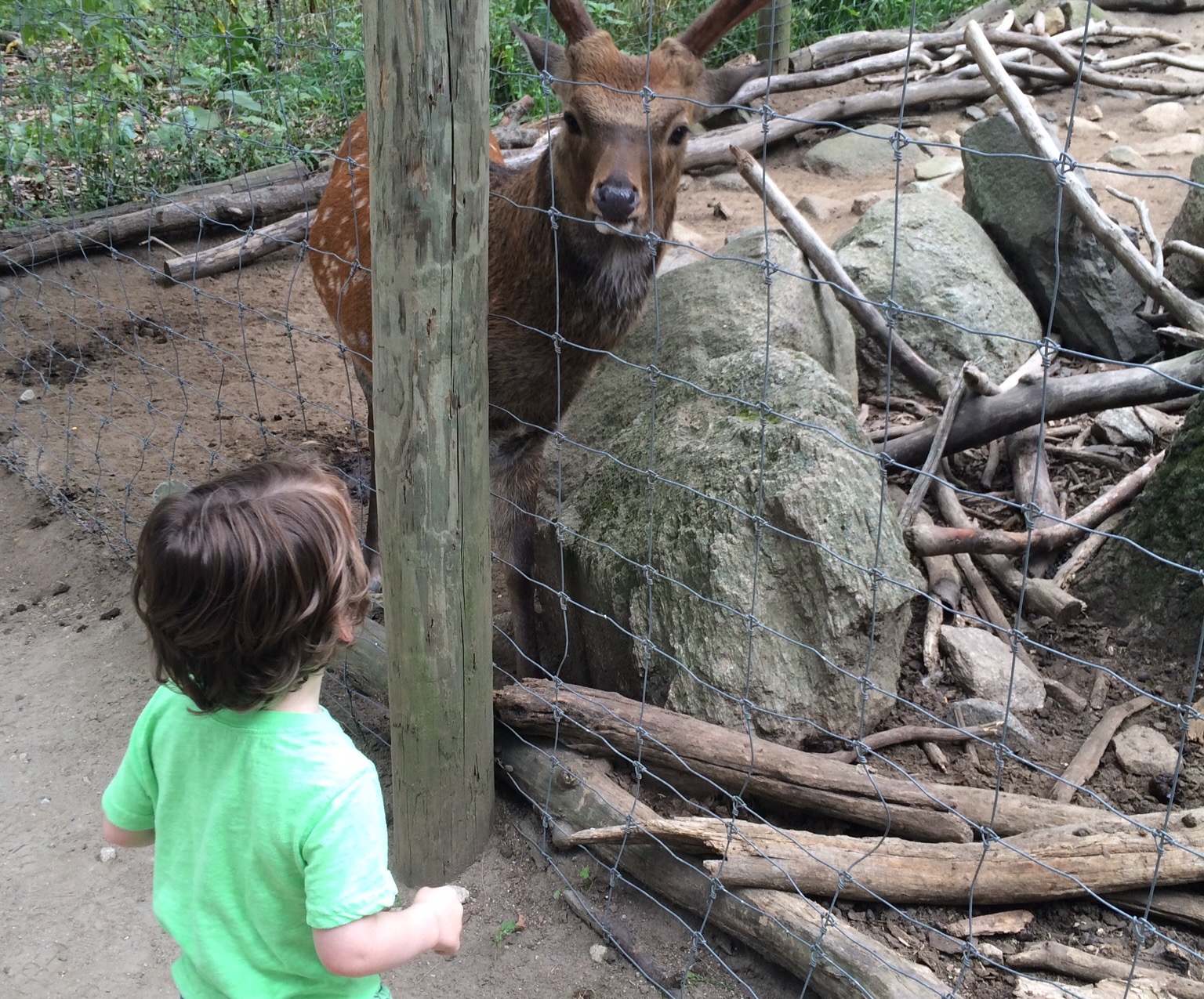 Get animal encounters and more family fun visiting Southwick's Zoo in Mendon, Massachusetts! Photo courtesy of Mommy Poppins