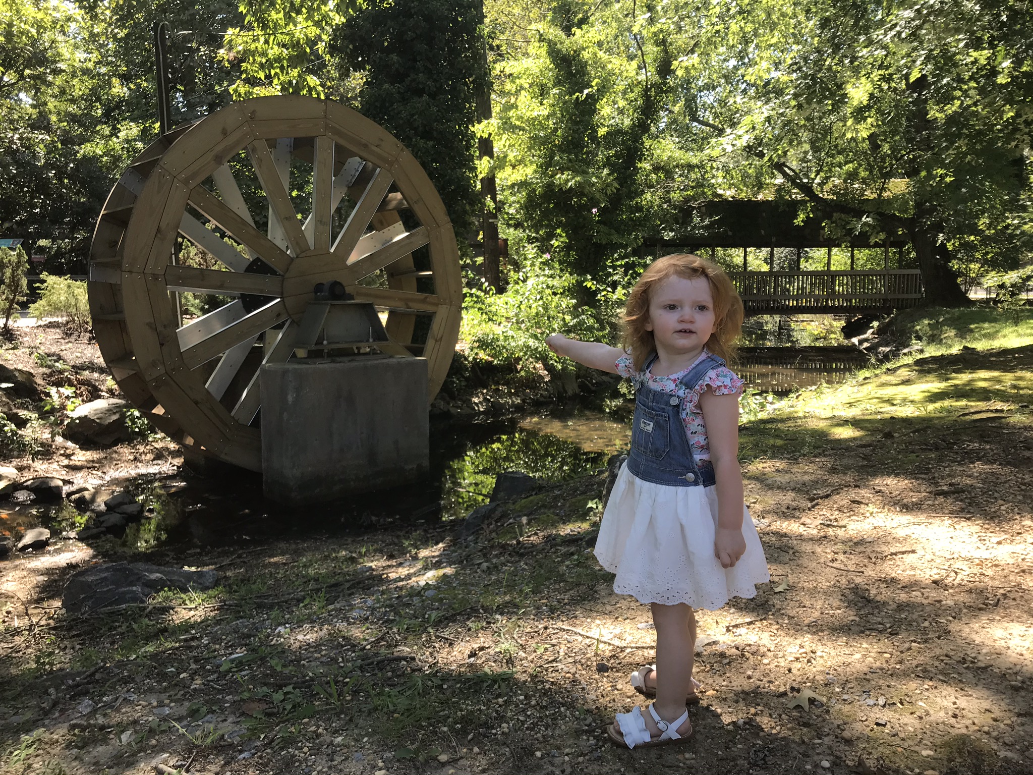 girl standing near water wheel at zoo