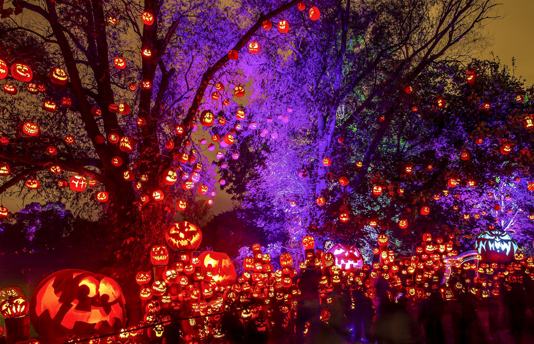 Rhode Island plays host to the Jack-O-Lantern Spectacular. Photo courtesy of Roger Williams  Park Zoo