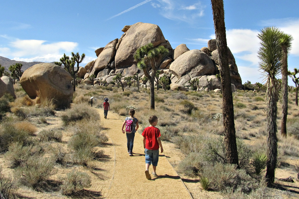 Take a stunning hike up to Cap Rock. Photo by Ken Lund/Flickr