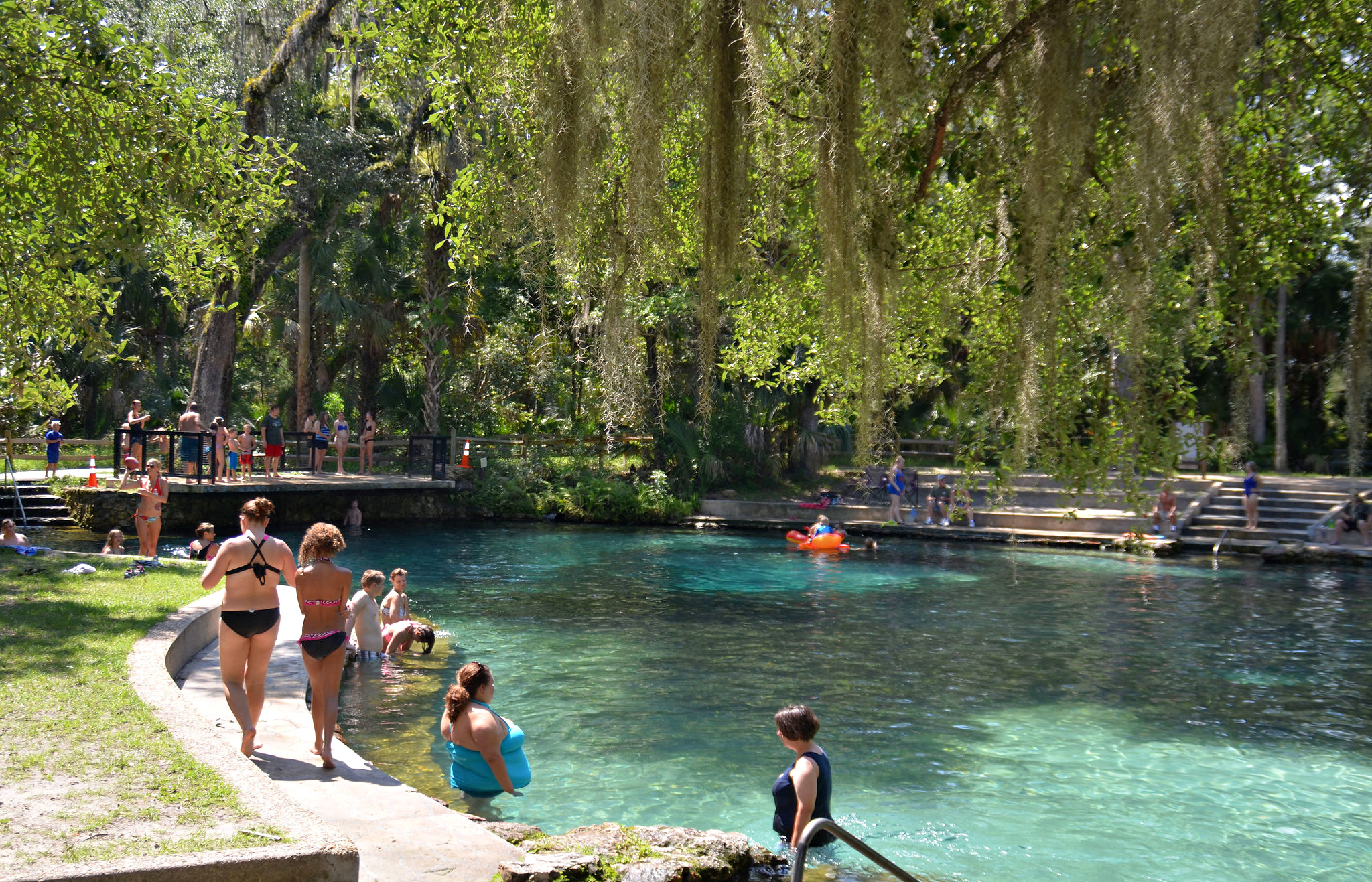 Swim at the freshwater Juniper Springs in Silver Springs, Florida. US Forest Service photo by Susan Blake