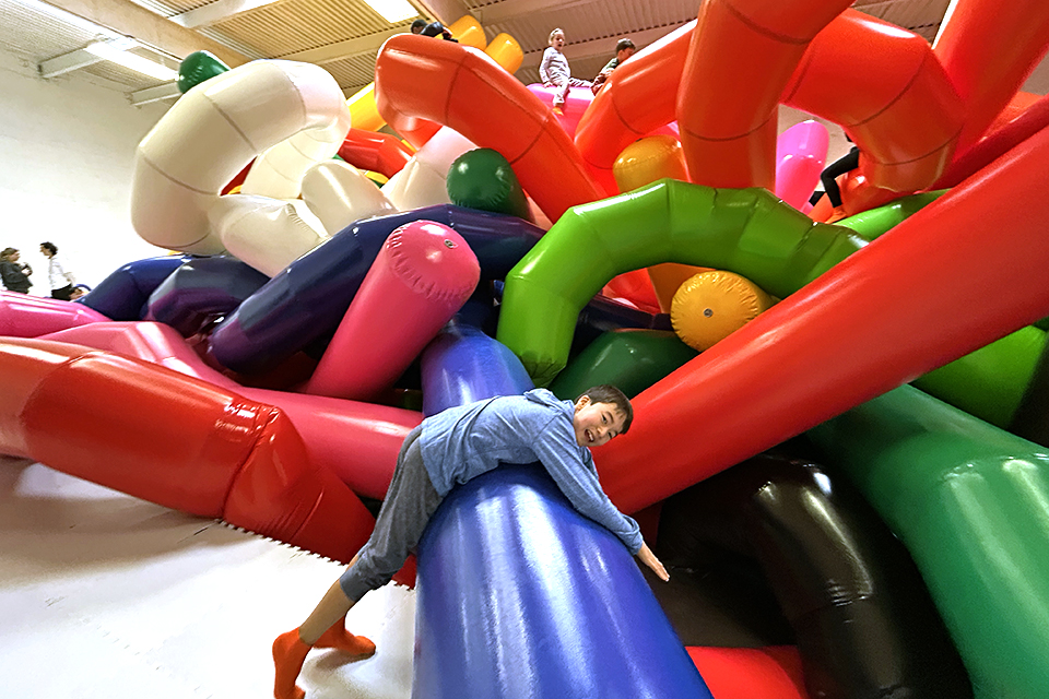 Pop-up Immersive Art Installation Inspired by Jeff Koons