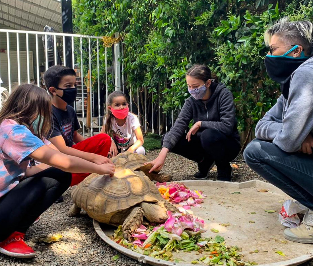 Find an Amazing Petting Zoo near Los Angeles: Kfar Saba Urban Farm