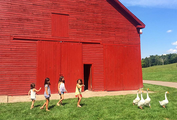 Family-friendly hotels in the Hudson Valley: Kids near a barn with geese at Kinderhook Farm