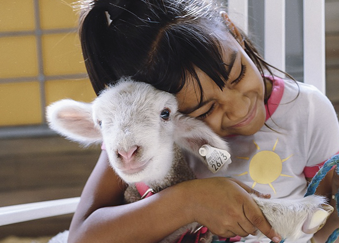 Snuggle up with a baby goat! Photo courtesy of the LA County Fair, Facebook