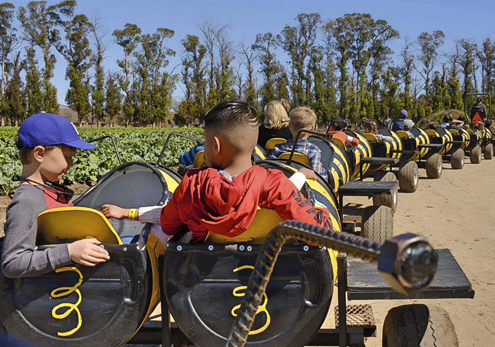 Underwood Farms buzzes with entertainment for all ages. Photo courtesy of the farm.