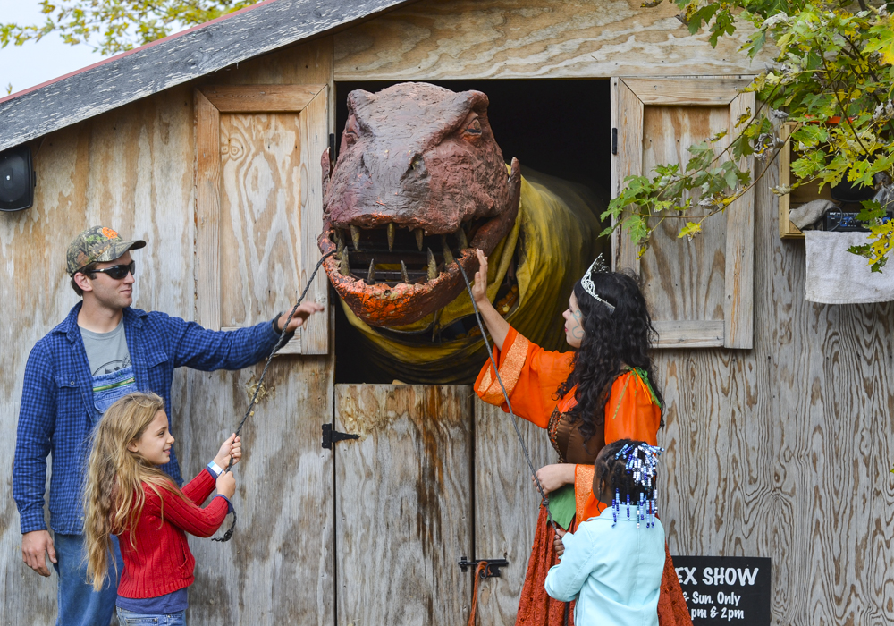 Beware of P. Rex, the Pumpkin-Eating Dino! Photo courtesy of Great Country Farms