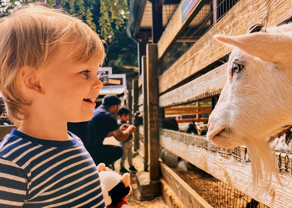 Lemos Farm in Half Moon Bay offers pony and train rides, a petting zoo, and seasonal entertainment. Photo courtesy of Lemos Farm
