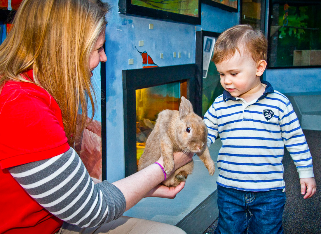You'll feel warm and fuzzy after all these fun things to do with preschoolers in Connecticut! Photo courtesy of the Lutz Children's Museum