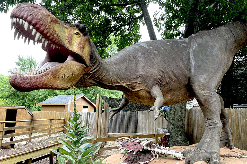 Long Island Best Museums Center for Science, Teaching and Learning