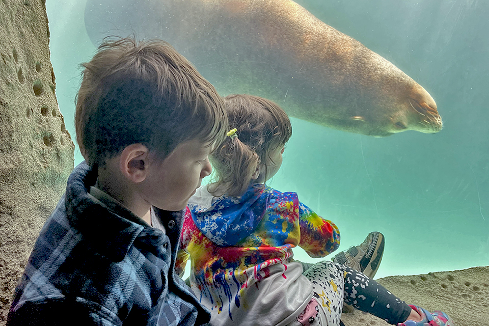 Best museums Long Island Long Island Aquarium