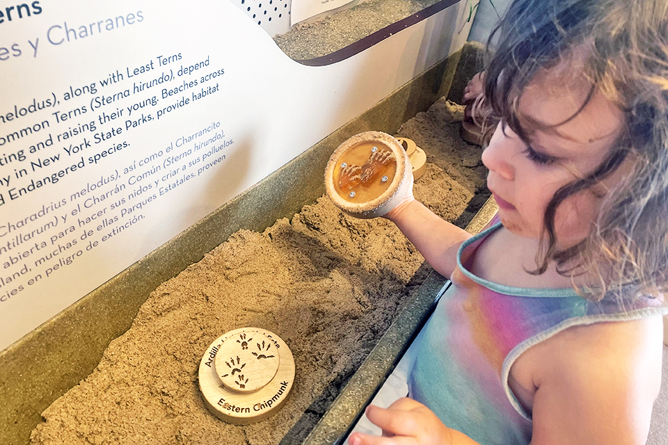 Jones Beach Energy and Nature Center's interactive exhibits are free. Photo by Gina Massaro