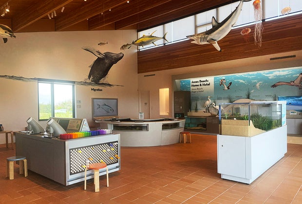 Visiting the Jones Beach Nature Center with Kids: Everything You Need to Know