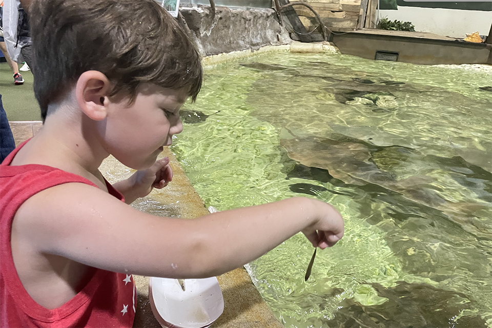 Long Island Aquarium child feeding stingrays