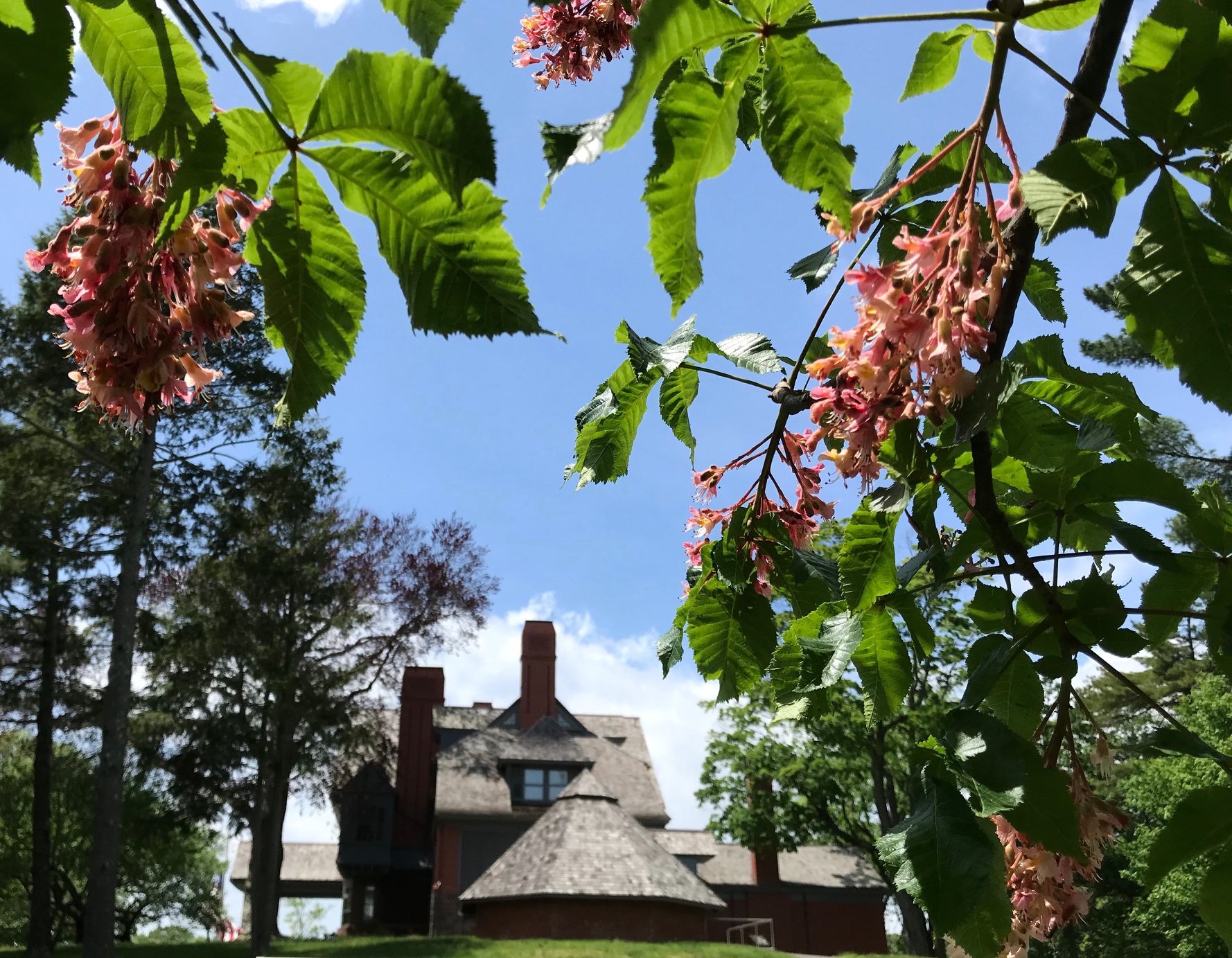Stroll the grounds of Sagamore Hill.Visiting Long Island with Kids: 3-Day Itinerary from a Local
