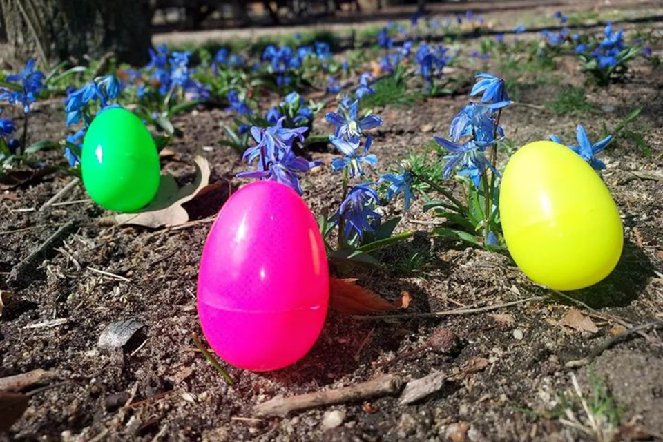 Get set for some roaring fun as the Center for Science Teaching and Learning hosts a Dino Egg Hunt. Photo courtesy of CSTL