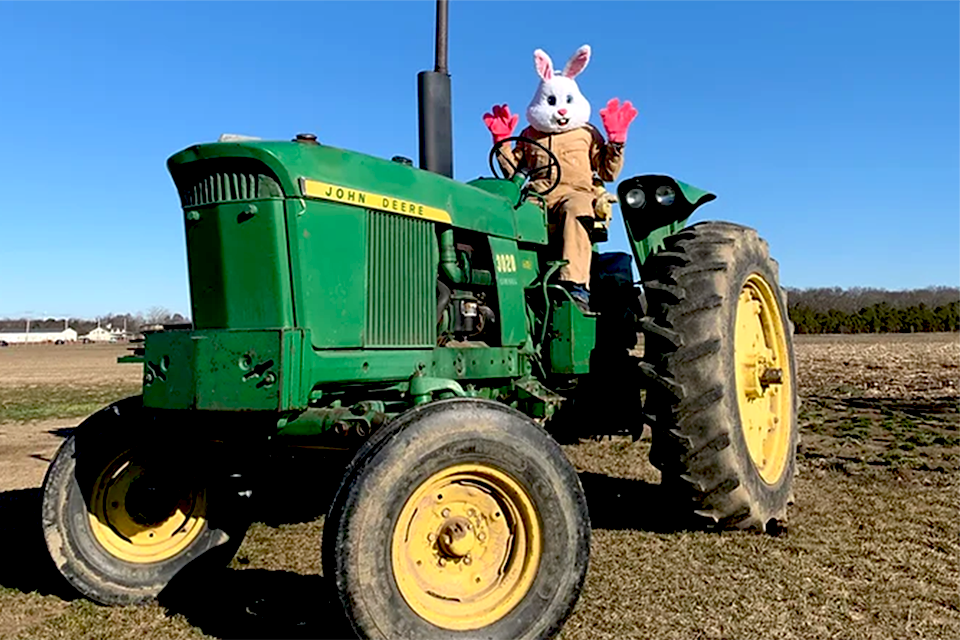 Waterdrinker Farm hosts the Easter Bunny and a hunt for the golden egg this weekend. Photo courtesy of the farm