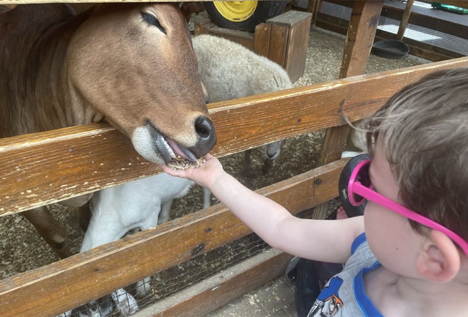 Feed the goats at White Post Farms. Photo by Gina Massaro