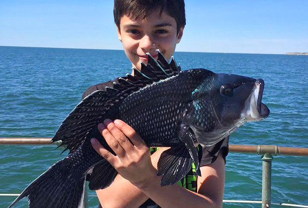 Catch a fish on The Viking Starship