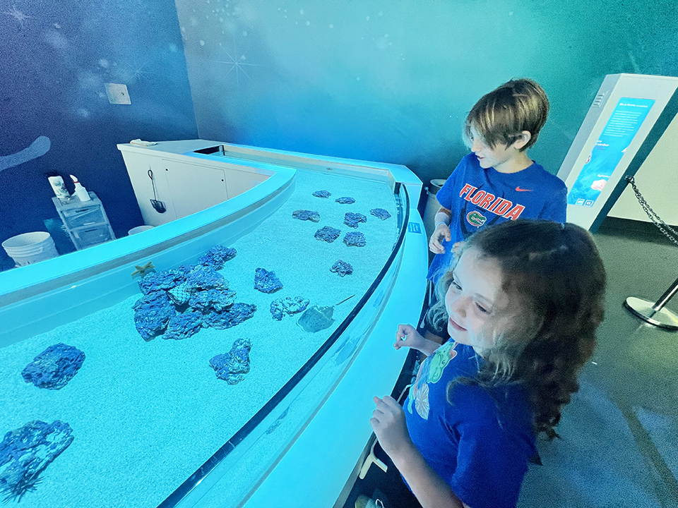 Kids will love the interactive touch tank within the Ocean section of Orlando Science Center's new Life exhibit. Photo by author