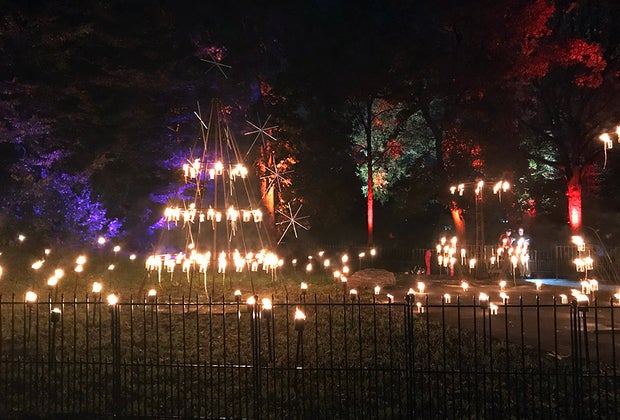 Fire Garden at the Brooklyn Botanic Garden's Lightscape