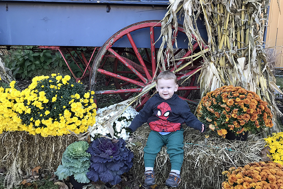 Old Bethpage Village Restoration is free for babies and toddlers