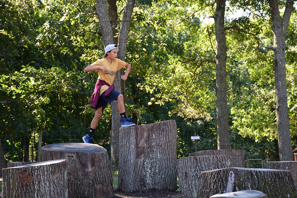 ​Jump across stump steps.
