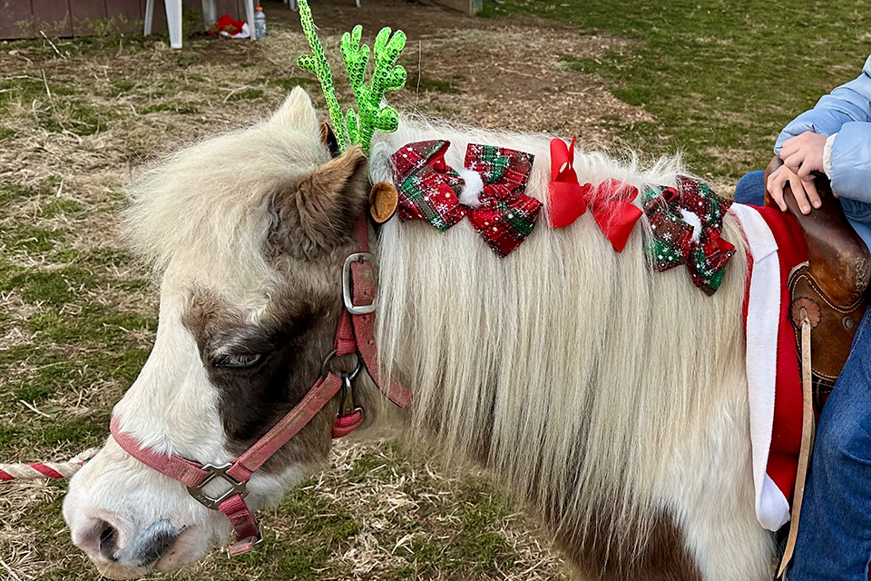 Visiting Santa's Christmas Tree Farm: Hop on a pony for a ride