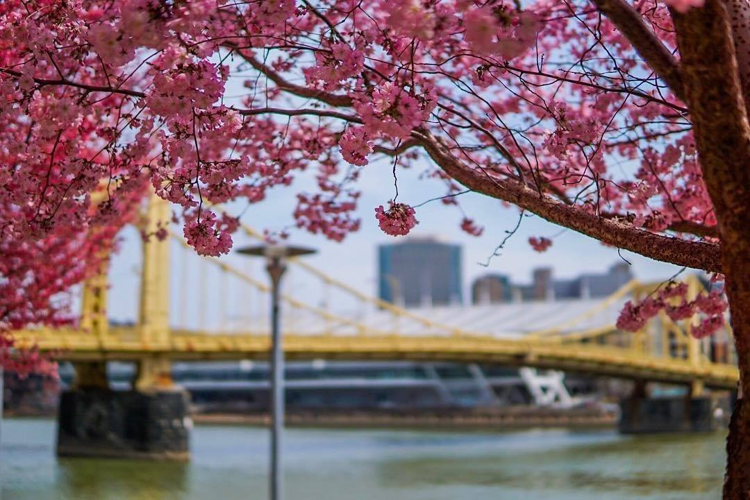 Pittsburgh's waterfront offers plenty of activities for kids. Photo courtesy of Visit Pittsburgh