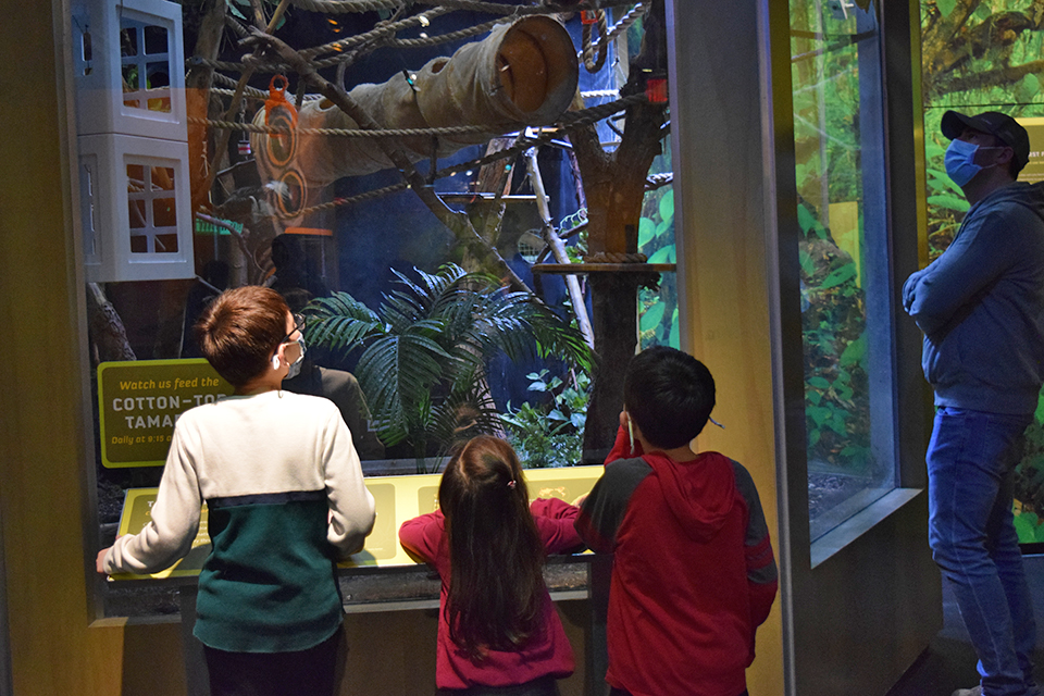 Come eye-to-eye with animals at the Liberty Science Center's Wild About Animals exhibit