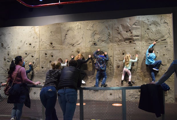 Curiosity drives choices in Wonder Why at the Liberty Science Center