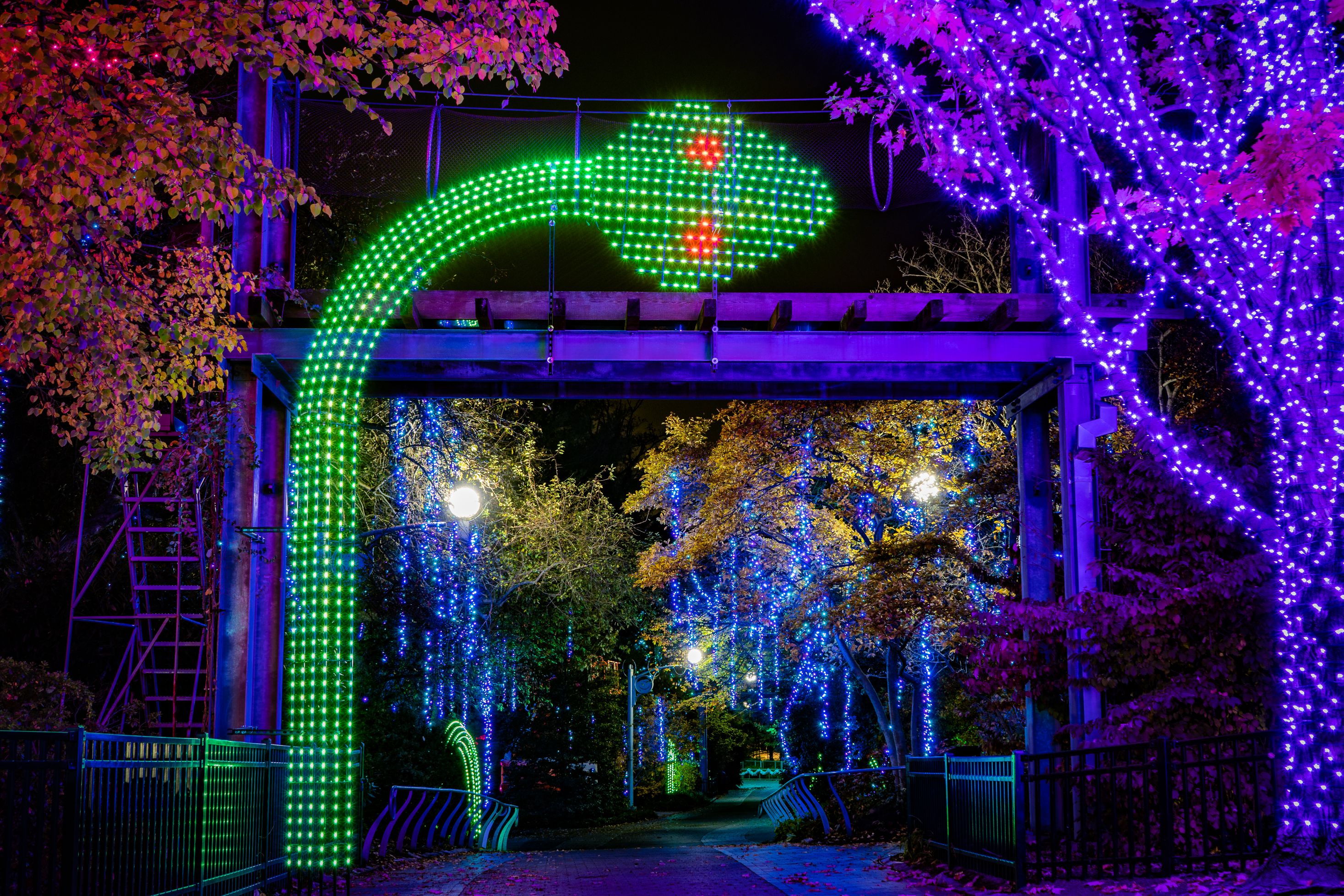 What's that sparkle off 76?  LumiNature is back. Photo courtesy of the Philadelphia Zoo