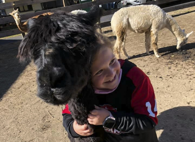 little girl with an alpaca at petting zoos near Chicago