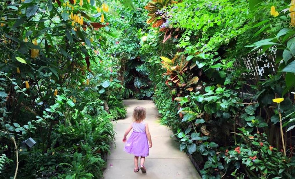 Are we in the tropics? It's warm and inviting at the Magic Wings Butterfly Conservatory in Massachusetts. Photo courtesy of Katie Wadland
