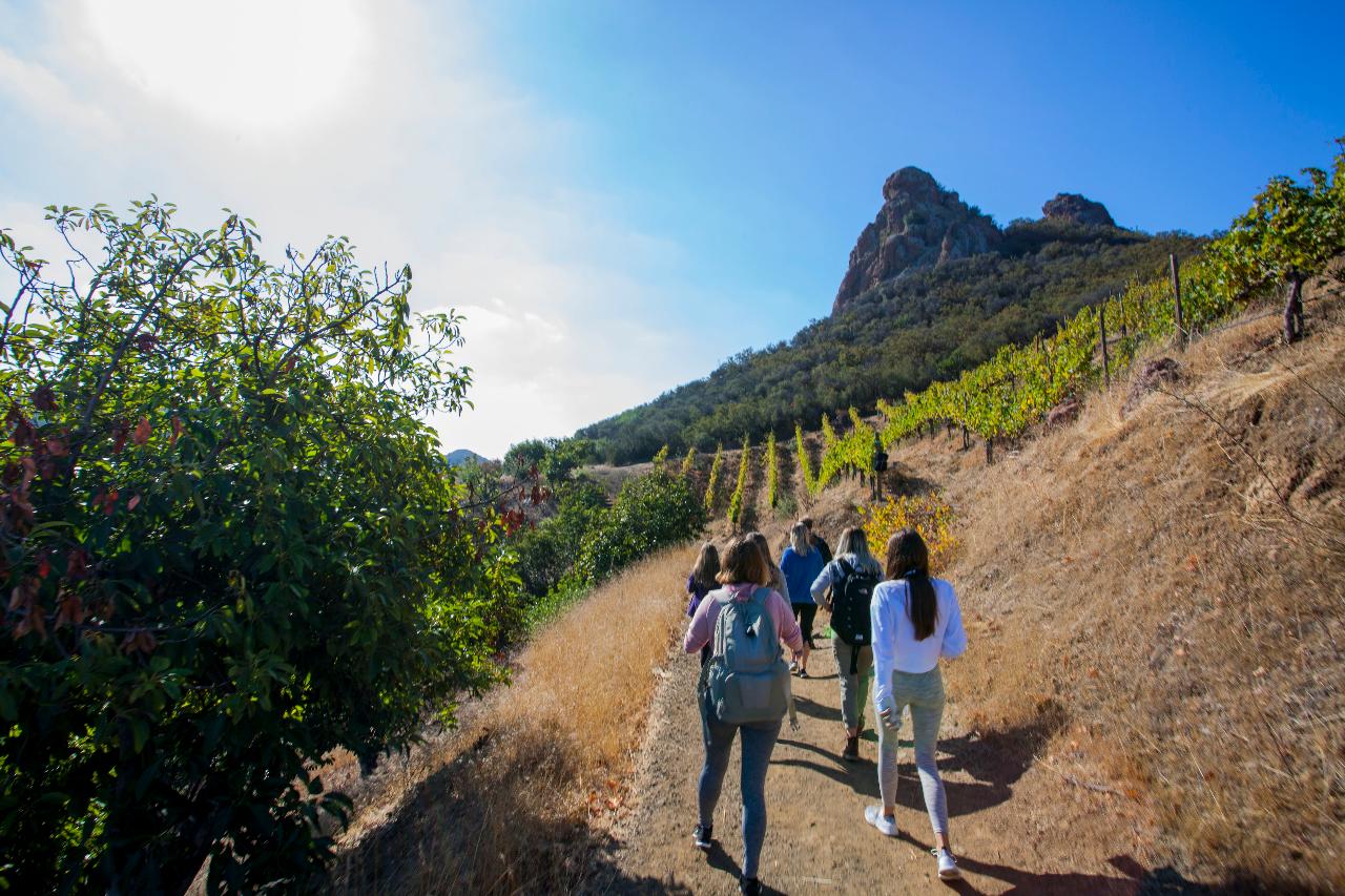 Things To Do on Mother's Day 2025 in Los Angeles Malibu Wine Hikes