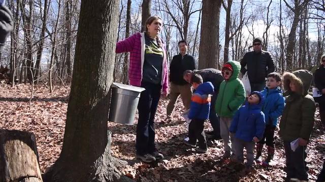 The maple sugaring demonstrations at the Tenafly Nature Center are very popular. Photo courtesy of the center