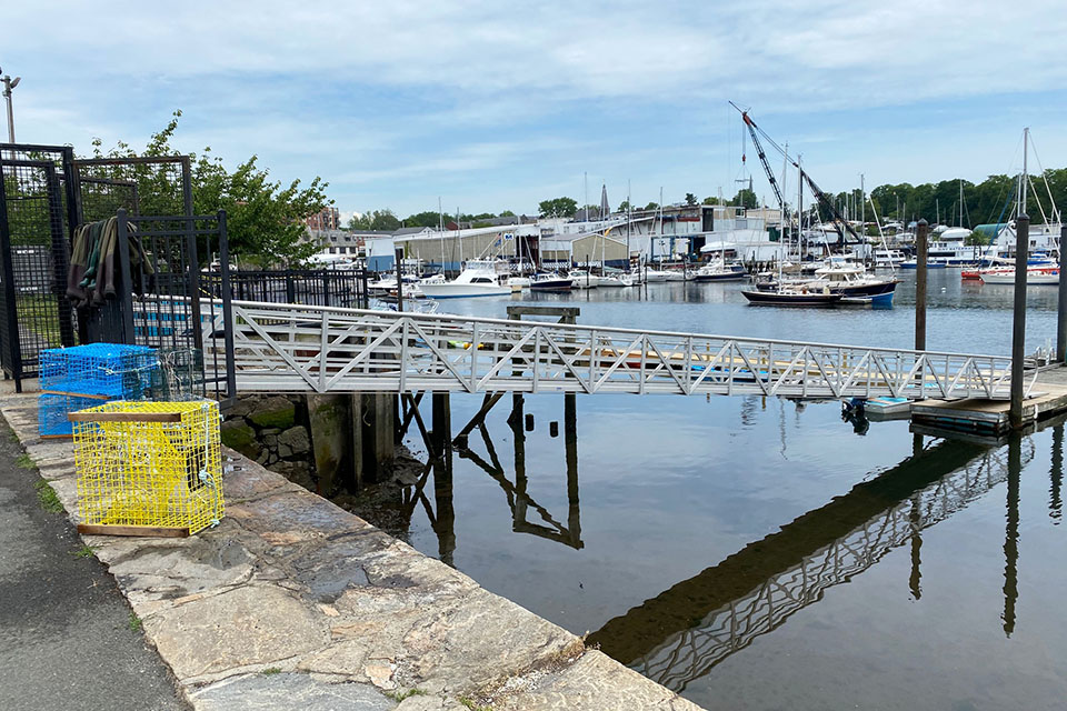 A wide view of the harbor at the marine education center
