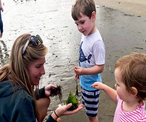 The Marine Education Center lets kids get hands-on with the Long Island Sound.Photo courtesy of the center