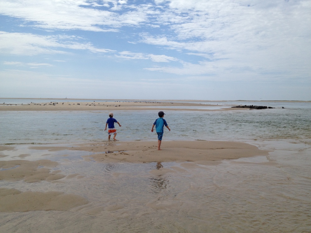 photo of a family on a beach, a Boston Father's Day thing to do.
