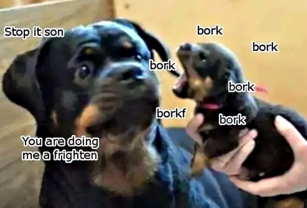 drive you bonkers dog meme