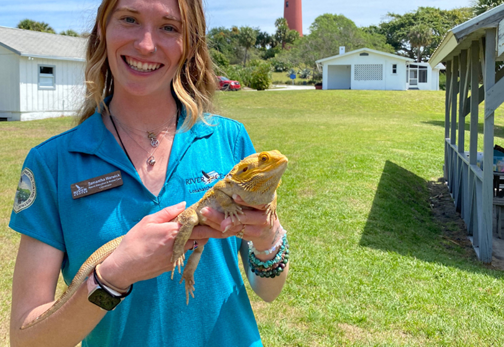 Meet Bubba the bearded dragon at River Center in Jupiter. Photo by Steven Morales