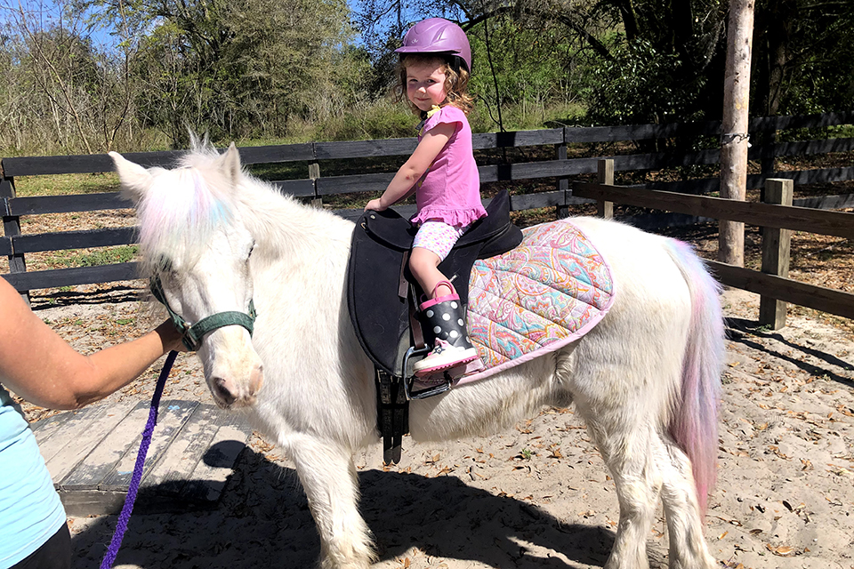 Lil’ Bit of Life Farm