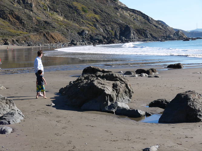 Best Beaches in San Francisco: Muir Beach
