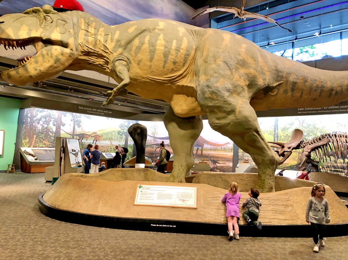 Meet the dinos at the Museum of Science. 