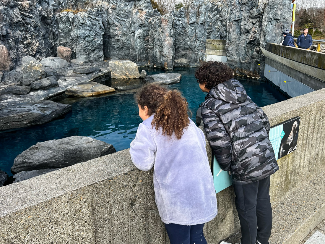 Photo of kids looking into a Mystic Aquarium exhibit.