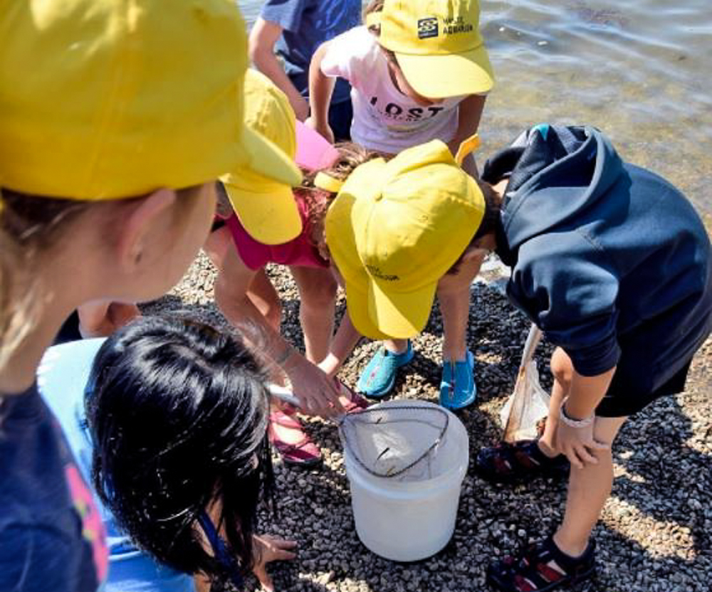 Make a new discovery at Mystic Aquarium camp. Photo courtesy of the Mystic Aquarium